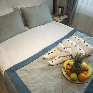 Grand Esen Boutique 2*, Istambul Turquie